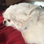 Kim Priddle Cavanaugh - @kac3.12 - Instagram