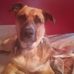 Kim Cecil - Facebook
