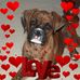 Kim Cecil - Facebook