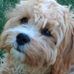 Kim Chartier - Facebook