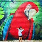Kim Chartier - @kat61967 - Instagram