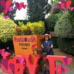 Kim Ching  Kong - @kimchingkong - Instagram