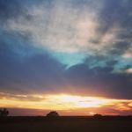 Kim Claussen - @zyiaactivekc - Instagram