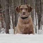 Kim Coombs - @kim.coombs - Instagram