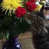 kimcoombsteschan - @kimcoombsteschan - TikTok