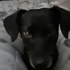 kimcordes0 - @kimcordes0 - TikTok