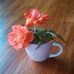 Kim Corey - Facebook