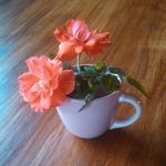 Kim Corey - @kimcorey2027 - Instagram