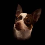 Kim cornwell - @zippykim314328 - Instagram