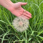 Kim Correll - @kimibklyn - Instagram
