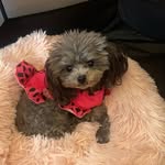 Kim Correll - @mizz_kim1 - Instagram