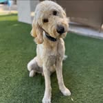 Kim Correll Schroeder - @kimmer0440 - Instagram