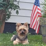 Kim Craft - Facebook