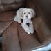 Kim Craft - Facebook