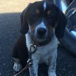 Kim Crafton - @kcrafton22 - Instagram