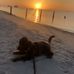 Kim Creech - Facebook