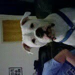 Kim Creech Barrows - @kimcreeechh - Instagram