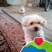 Kim Cross - Facebook