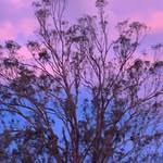 Kim Croucher - @ejilxpo301 - Instagram