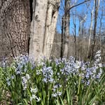 Kim Crowder - @blueyedchippewa - Instagram