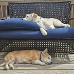 Mik Snilluc - @kim_cullins - Instagram