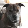 user9286335812275 - @kim.cull8 - TikTok