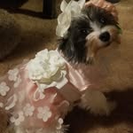 Kim Culver - @coolgrandma_k - Instagram