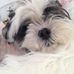 Kim Cushman - Facebook
