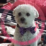 Kim Cushman - @kimcush59 - Instagram