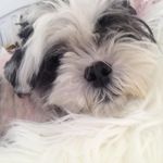 Kim Cushman - @kim.cushman.7 - Instagram