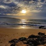 Kim Cushman - @cushman442 - Instagram