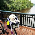 Kimberly Bojarski Cushman - @cushman_clan - Instagram