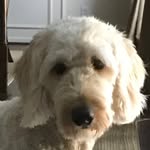 @kim_cyphers615 - Instagram