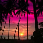 kim.damico - @kim.damico67 - Instagram