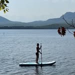 kim danforth - @kimbdanforth - Instagram