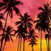 Kim Darby - Facebook