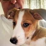 Kim Darby - @darbk60 - Instagram