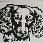kim Davison - @dooley_designs - Instagram