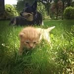 Kim Davison - @kdavison17 - Instagram