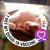 Kim Davison - Facebook