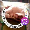 Kim Davison - @kim.davison19 - TikTok