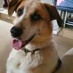 Kim Deans - @deanskim - Instagram