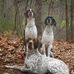 Kim Dearborn - Facebook