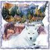 Kim Dearth Lawson - Facebook