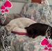 Kim DeCarlo - Facebook