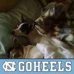 Kim Dellinger Leonard - @ncdolphin61 - Instagram