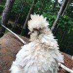 Kim - @kimdellinger - Instagram