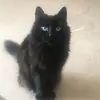 kimdelpratt127 - @kimdelpratt127 - TikTok