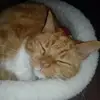 Kim Denham - @kim.denham - TikTok