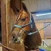 Kim dennison - @kimdennison59 - TikTok